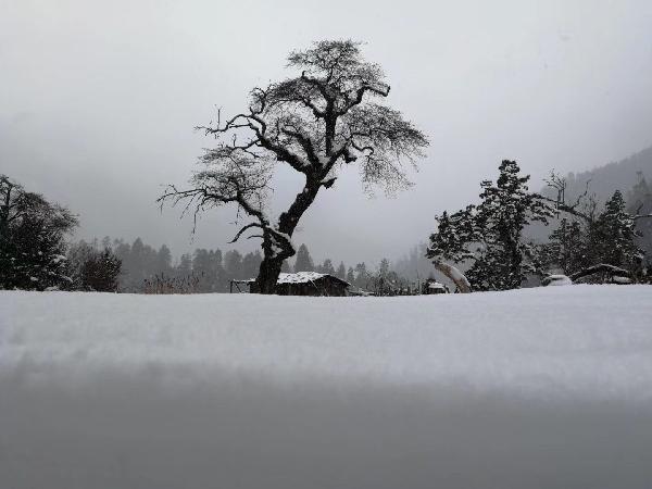 沪江开心词场